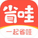 世界杯：普利西奇缺战铁卫头槌 美国2